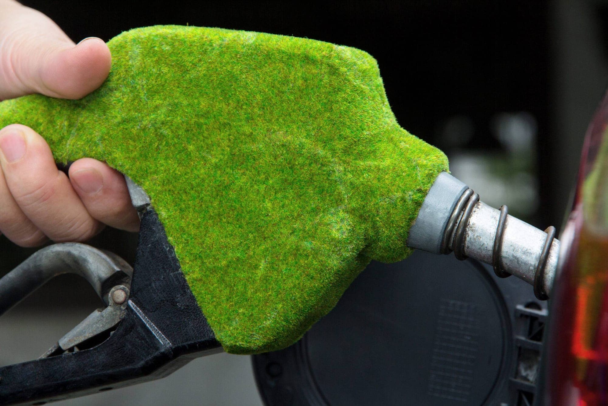Biofuel Forex Impact represented in an image.
