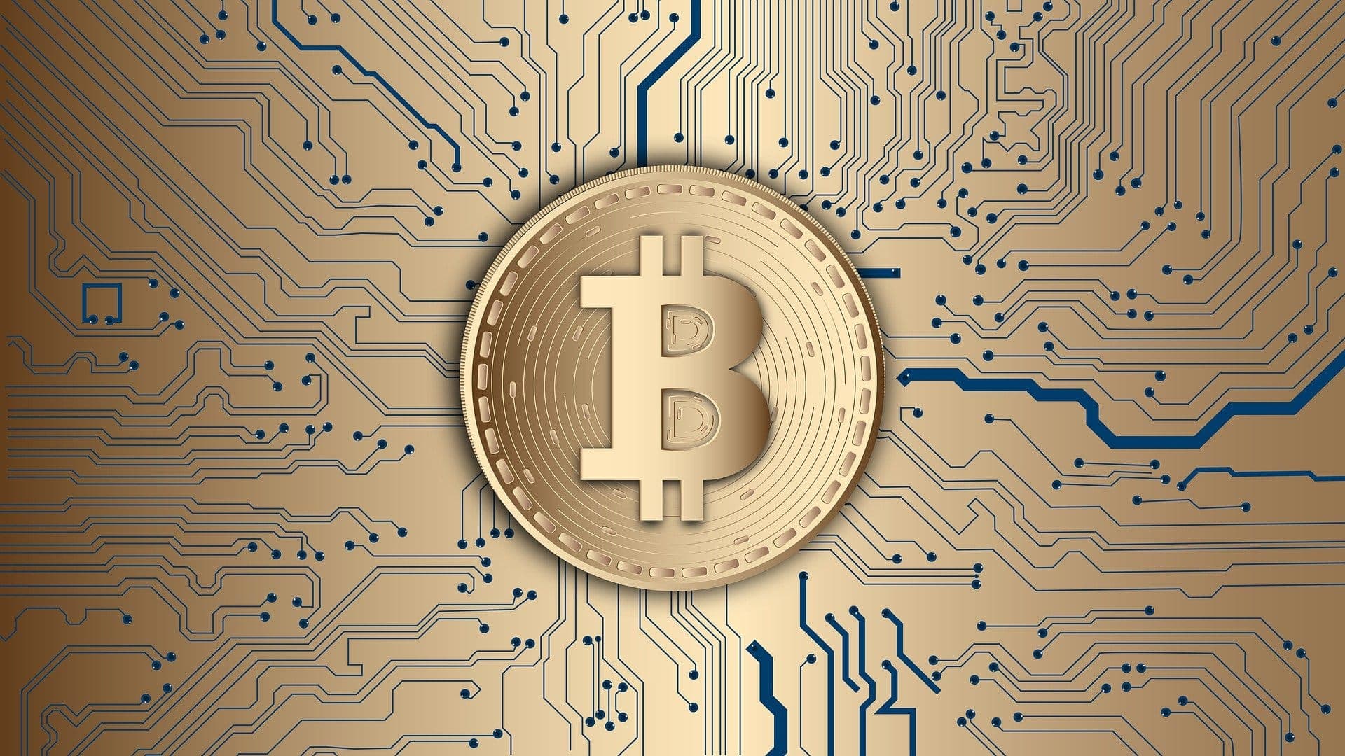 cryptocurrency forextrading forexsignals