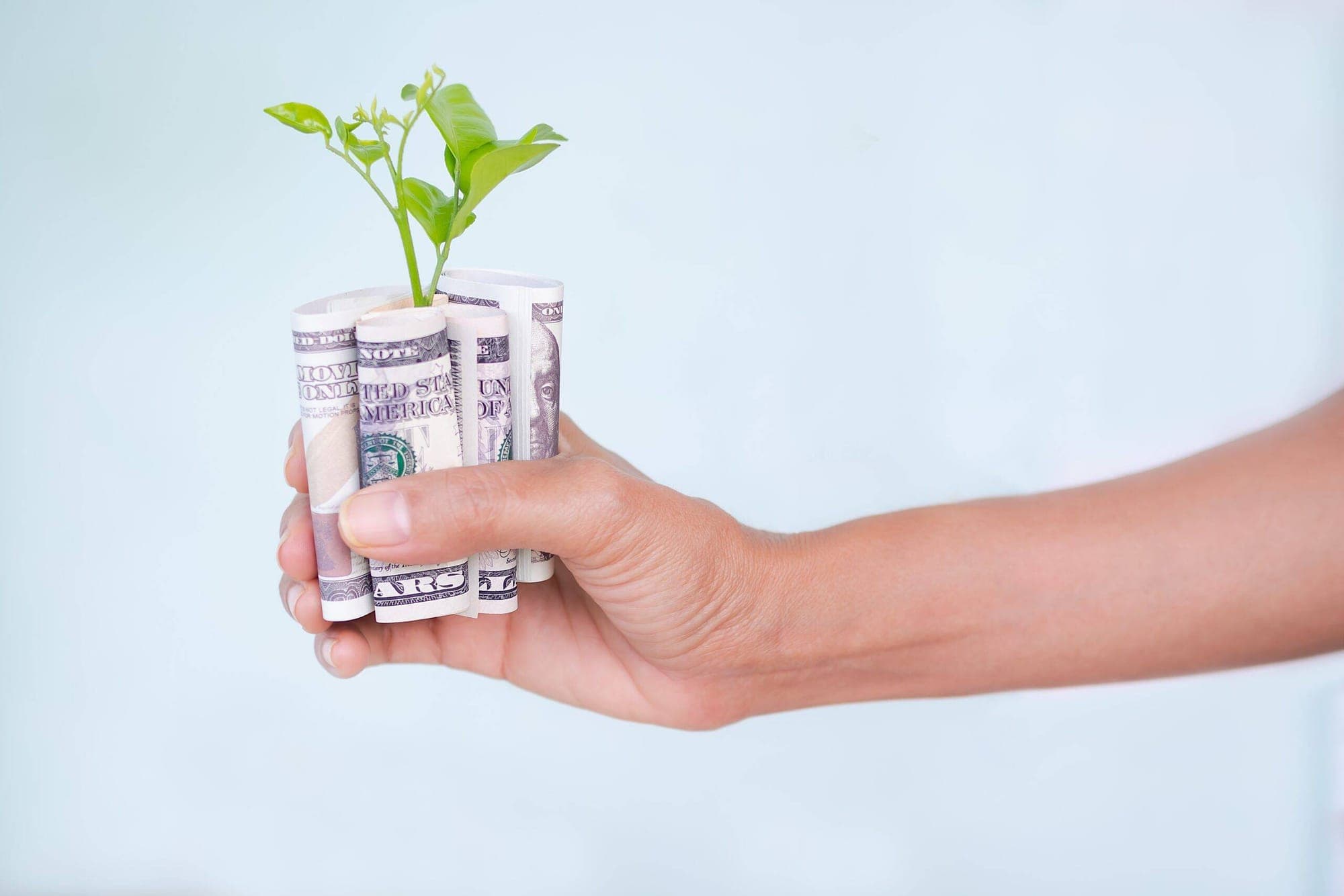 Dollar's Strong Growth represented in an image.