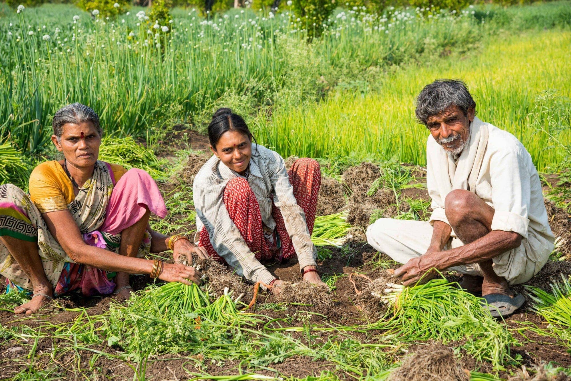 Farmers' protests represented in an image.