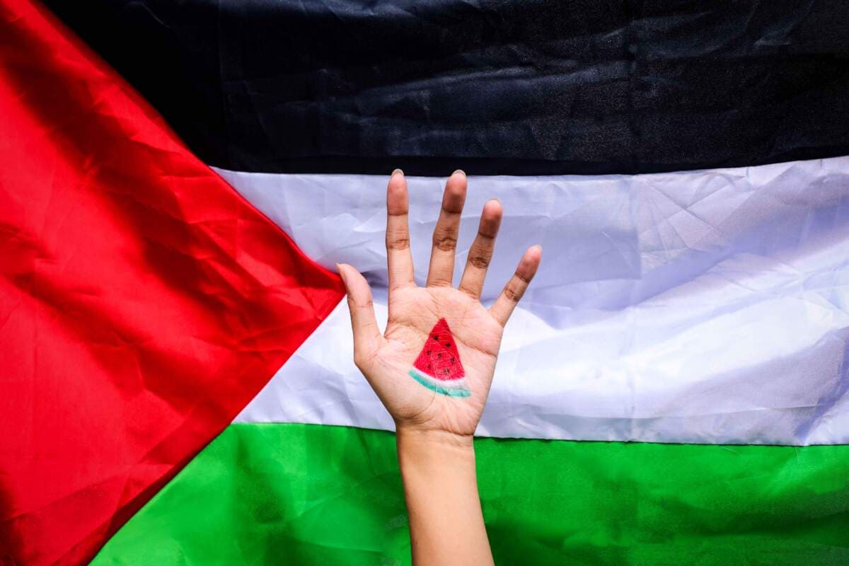 Palestinian state recognition represented in an image.