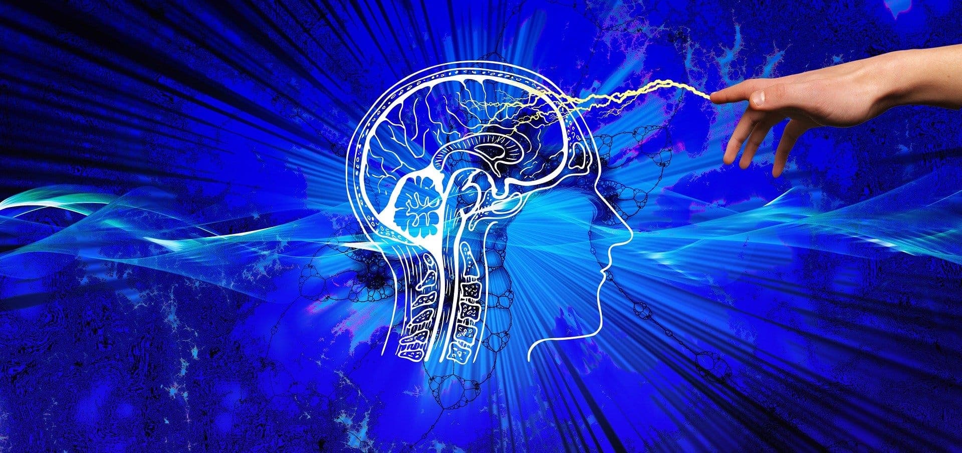 psychology, forextrading, forexsignals