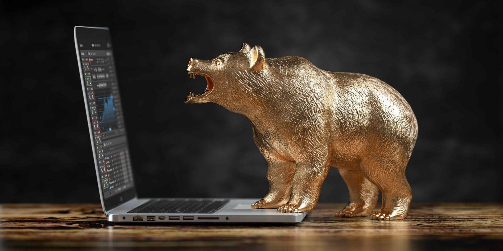 Bear Market represented in an image.