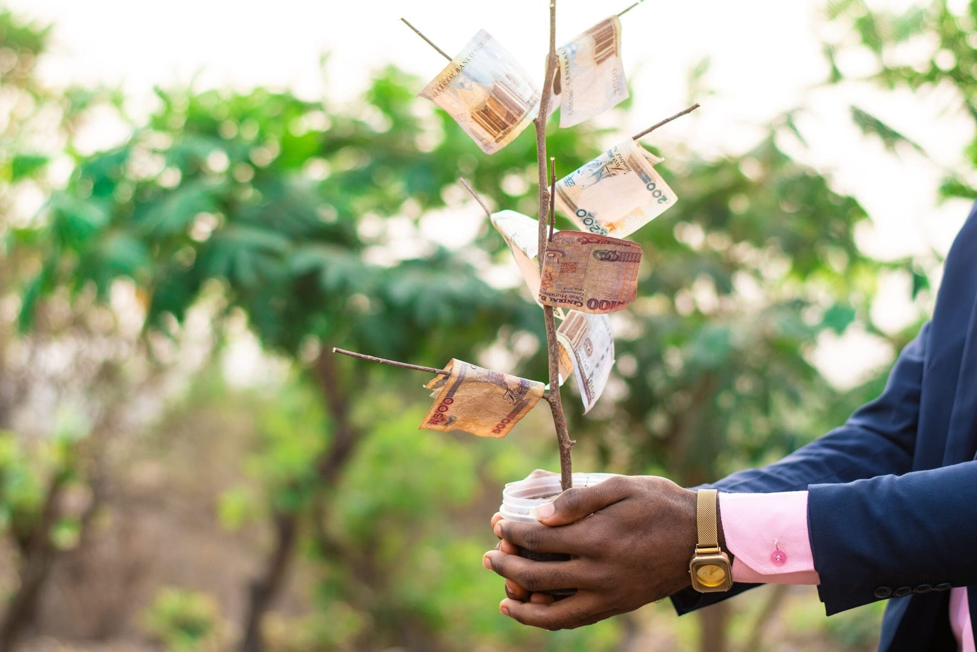 Can 5-Minute Investing Make You Money in 2025?