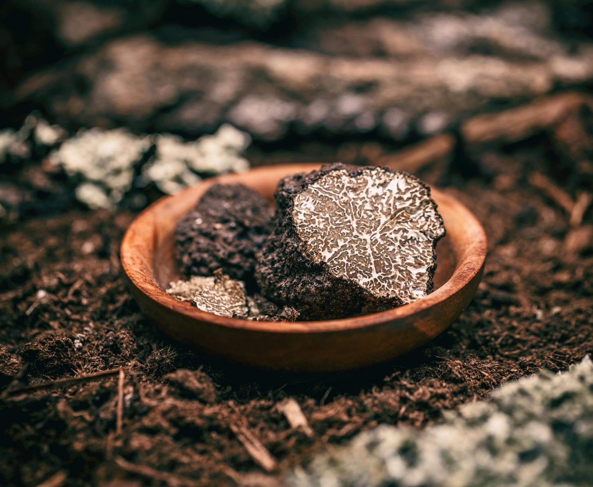 Rare Earth Metals: What’s Next for Global Supply and Demand?
