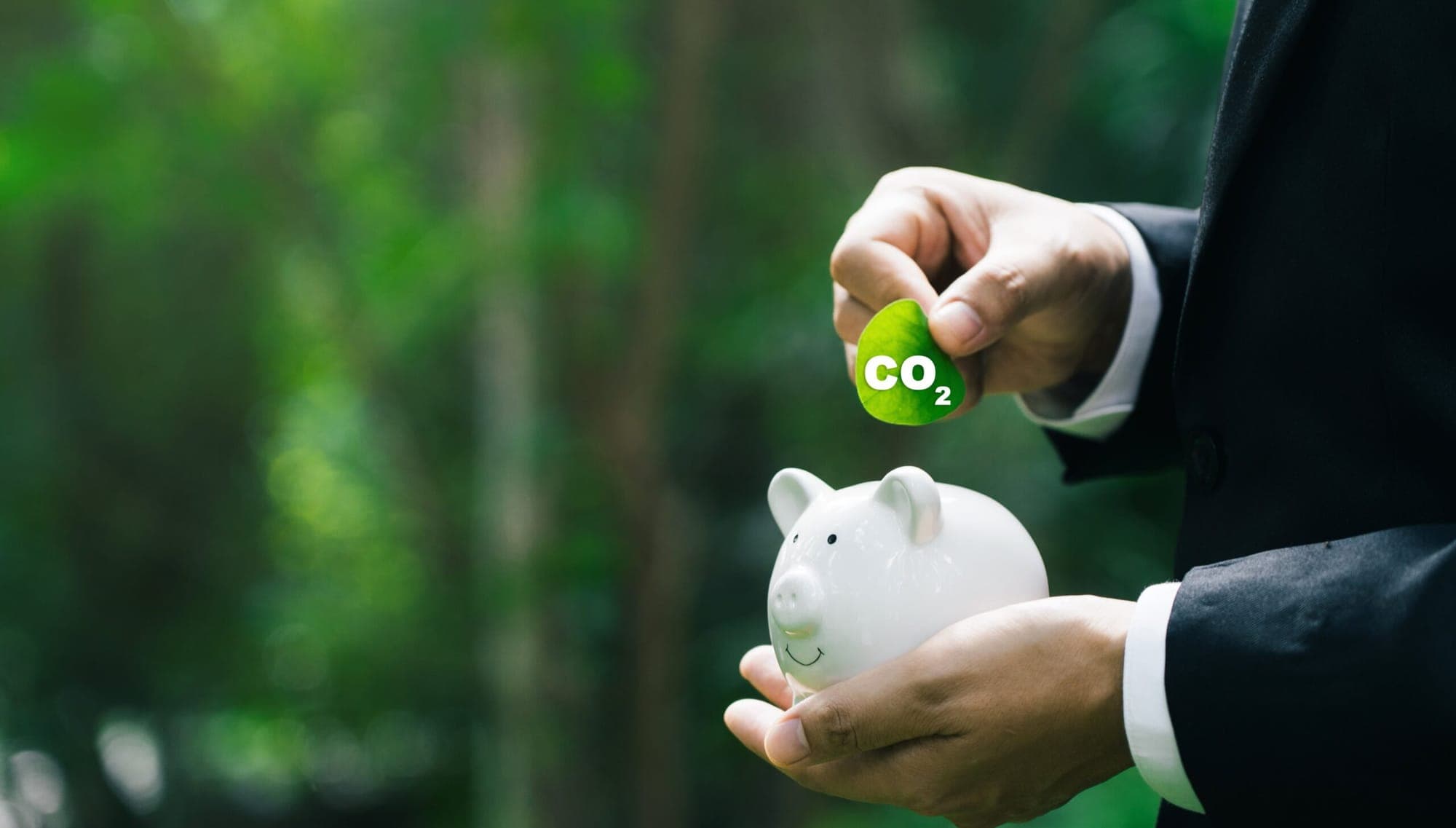 Carbon Credit Futures 2025: Are They a Good Investment?