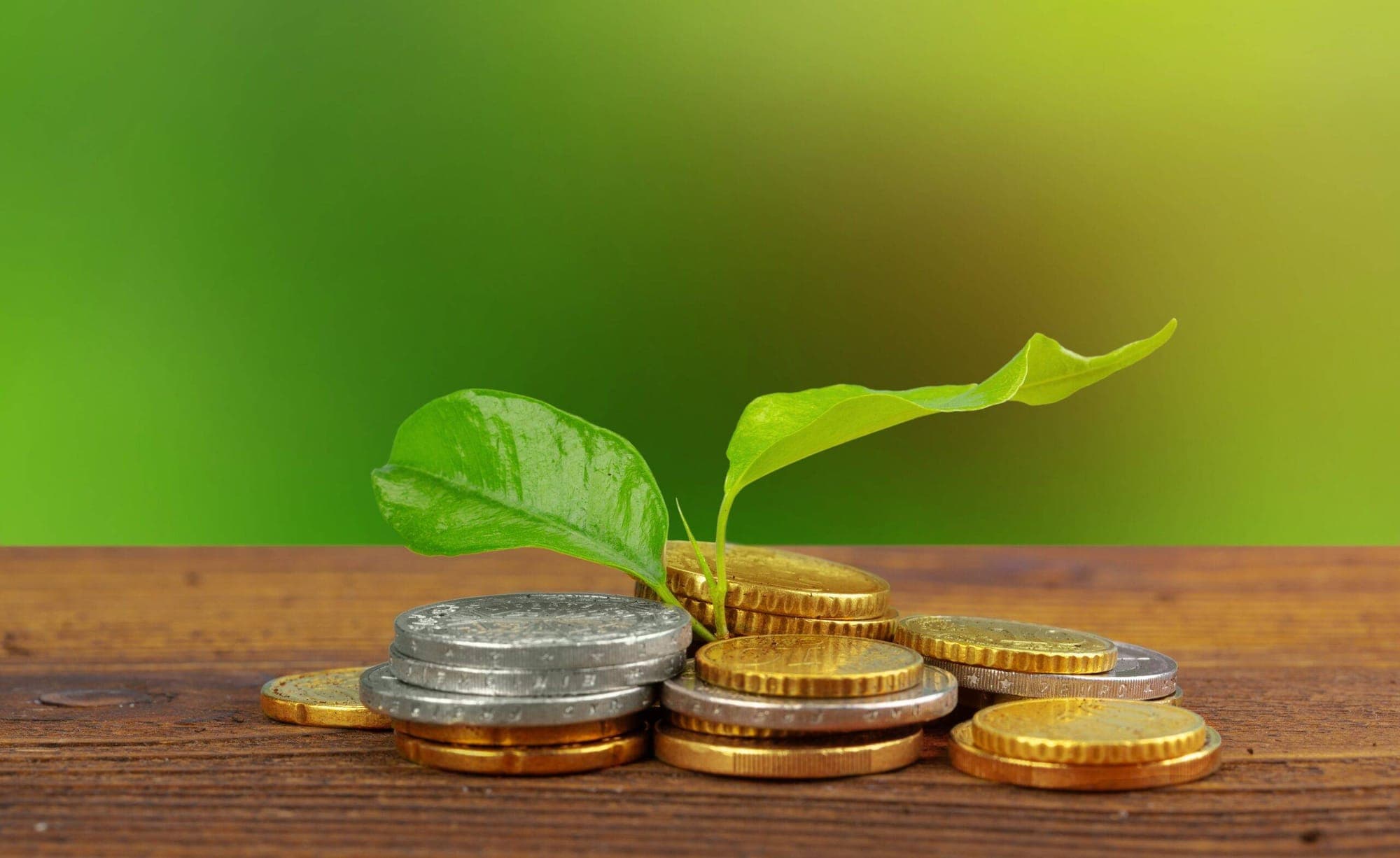 Central Banks and Climate Change: Building a Resilient Future