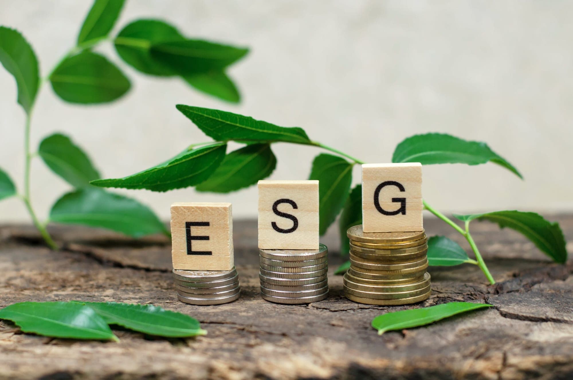 ESG Investing in Forex: What It Is and How It Works?