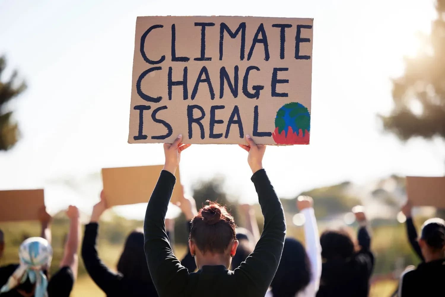 How Climate Policy Affects Energy-Linked Currencies?
