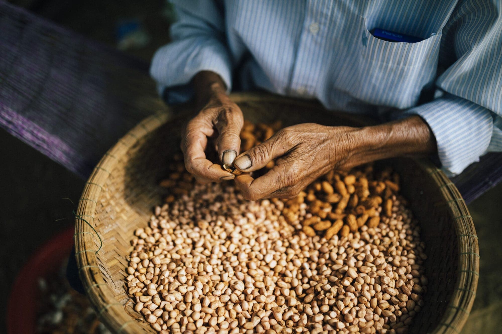 What Are Soft Commodities and How to Trade Them?