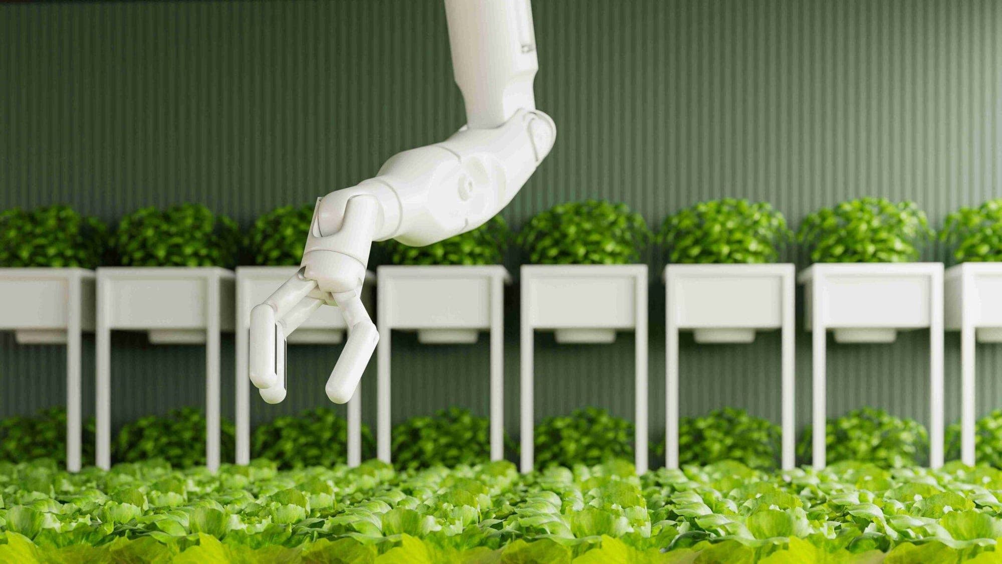 Agri-FinTech