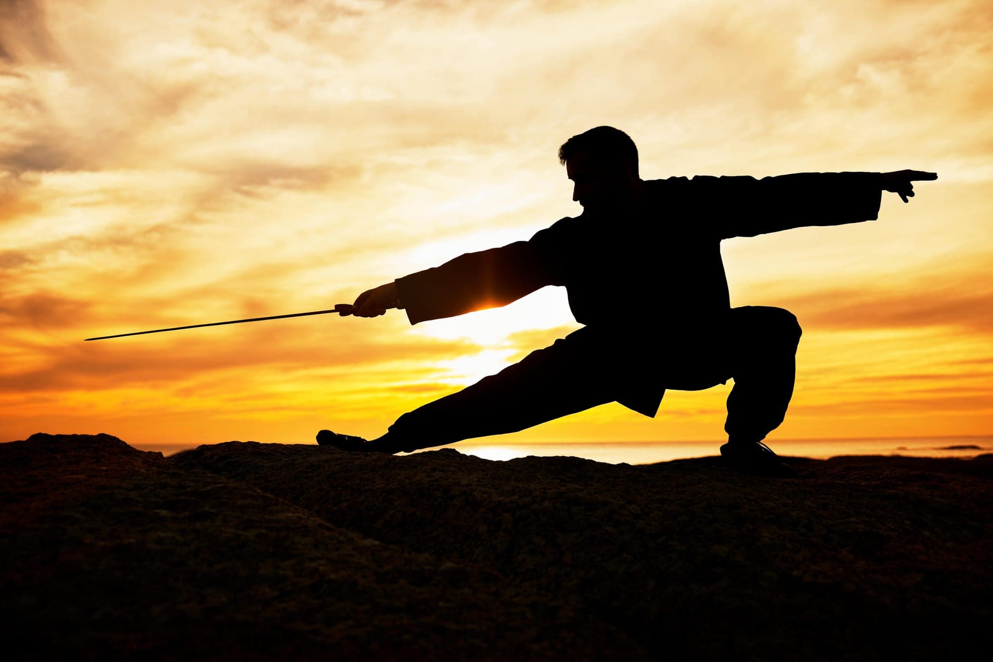Dominate Forex Trading Strategies with Martial Arts Tactics