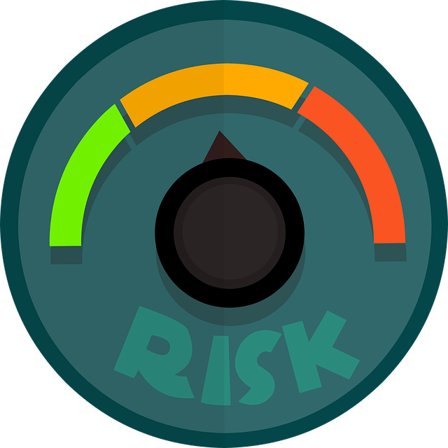 risk management
